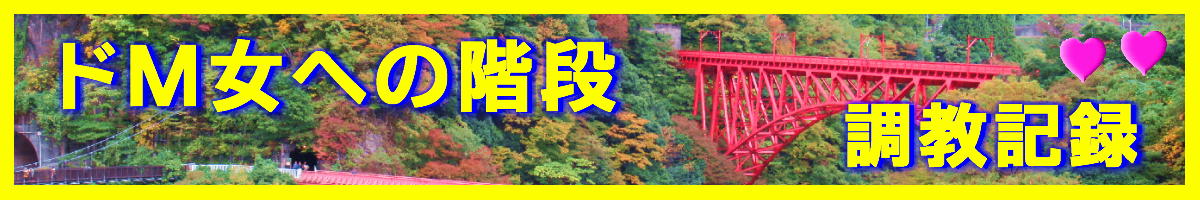 ドМ女への階段